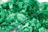 Flowery Polished Malachite Slab - D R Congo #379717-1